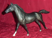 blackbeauty.jpg