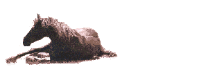 anrolln3.gif