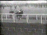 manowarrace.gif